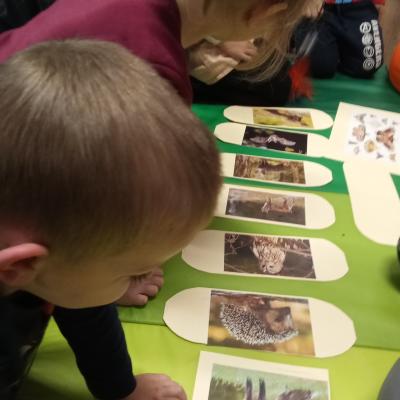 Gdy zapada zmrok, ludzie zwykle układają się do snu