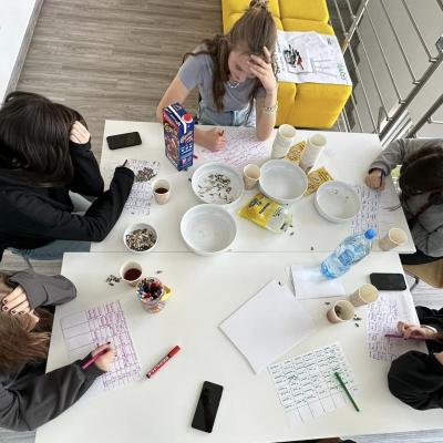 435988988 819248673573828 8459953182347796010 N