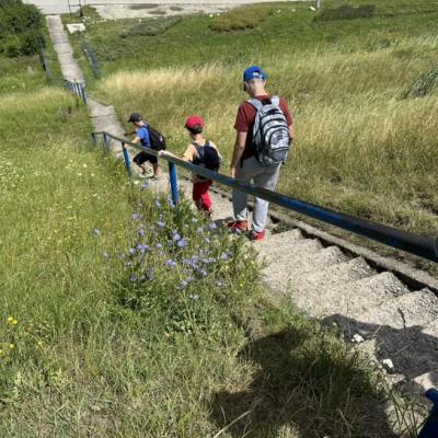 449434621 875349294630432 1976469890978564051 N