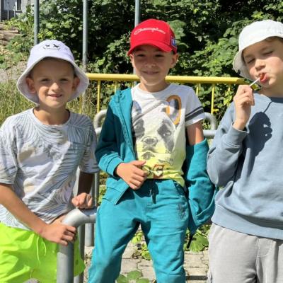 449446669 875349091297119 7320344851763241851 N