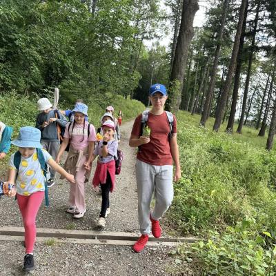 449683423 875382057960489 6490099722421888496 N