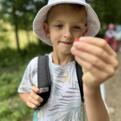 449686957 875381957960499 2598211699223930177 N