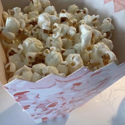 449778513 876021244563237 3300751863763959637 N