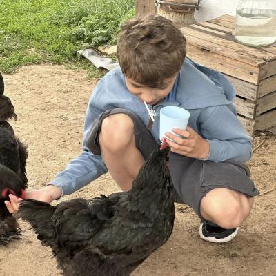 449147787 876695707829124 8886131305858596253 N