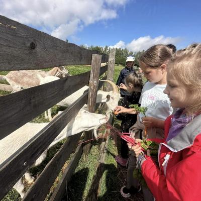 449149188 876695771162451 5374957515398762262 N