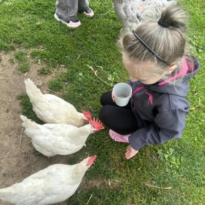 449735433 876653731166655 4029471718760941624 N