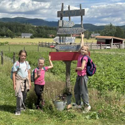 449746529 876653607833334 7525986481490006068 N