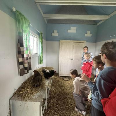 449768469 876695594495802 2426640362094152636 N