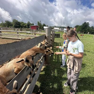 449771558 876696844495677 7170955515422655413 N