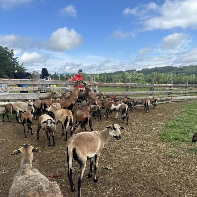 449776348 876696664495695 6915643164364616059 N