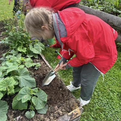 449776349 876696687829026 7199445554749984352 N