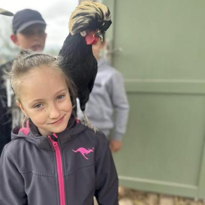 449777669 876695517829143 7959792056200905110 N