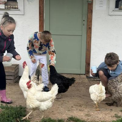 449778875 876696974495664 443421530479207852 N