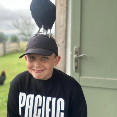 449779442 876695741162454 3718683337284406536 N