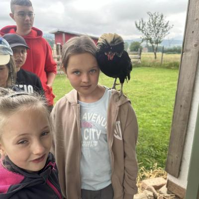 449780327 876696557829039 5361182919106771749 N