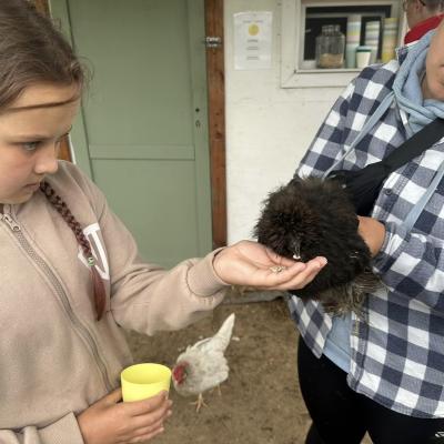 449781103 876696637829031 3259746736081307015 N