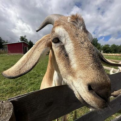 449781650 876696814495680 7162817896329619223 N