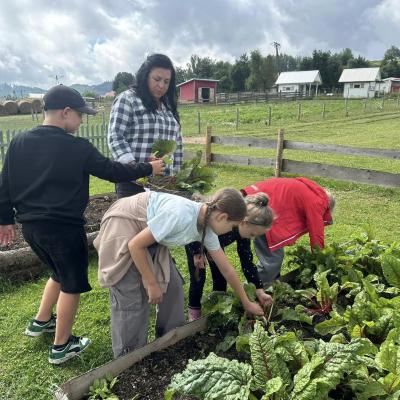 449784642 876695397829155 1368147736878009412 N