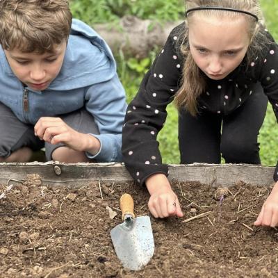 449786837 876696621162366 4243822153264981769 N