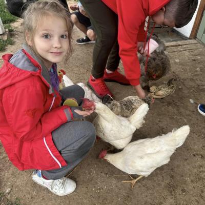 449788767 876695817829113 4770312755622711076 N