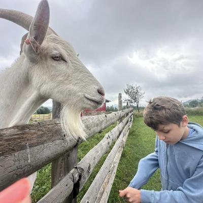 449789065 876696951162333 8365629956487360982 N