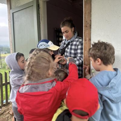 449925306 876696981162330 7238498956938382832 N