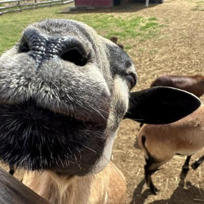 449925356 876697011162327 8506904243013812345 N