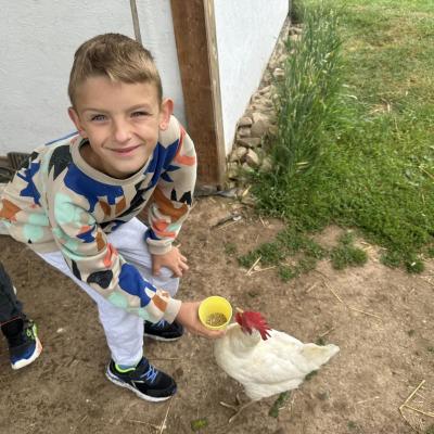 449937176 876697071162321 2687839756187671432 N