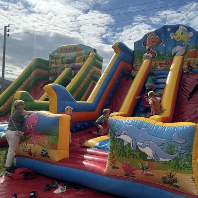 449931357 877471084418253 947416343607080081 N