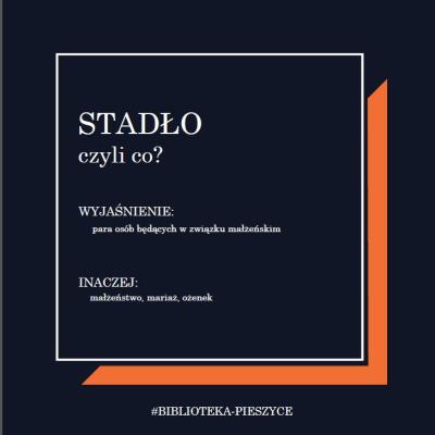 Stadło