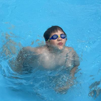 450611960 881766980655330 3682532283635095890 N