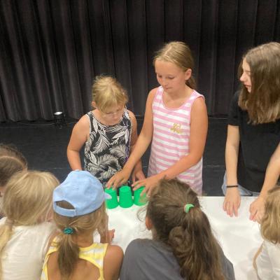 451483523 883663947132300 2296260985112111509 N