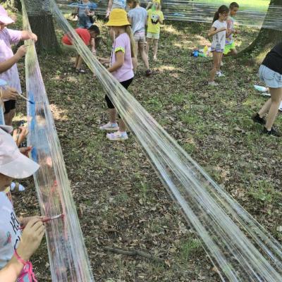 451853284 886204680211560 1950555551692647044 N