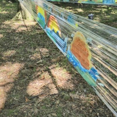 451866765 886204776878217 6811020387496210757 N