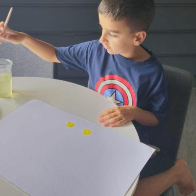 452649995 888747029957325 6984836893518117304 N