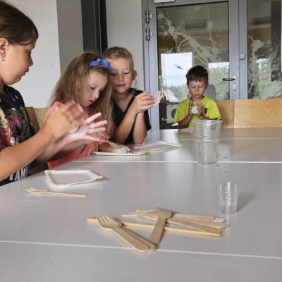 452533515 889301736568521 2237051701131699051 N