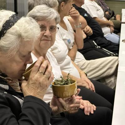 464151406 953388490159845 4300617231488701060 N