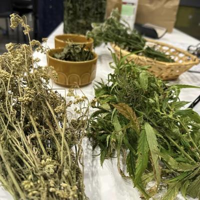 464306369 953388033493224 2883713553108066565 N