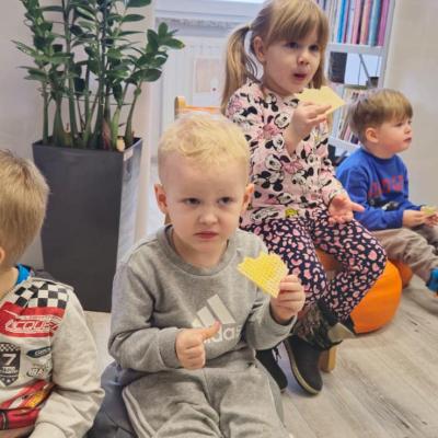 473627382 1015688143929879 7856640314169173177 N