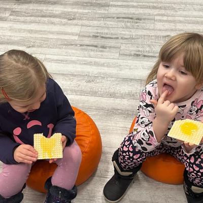 473645224 1015688120596548 2056899859877302730 N