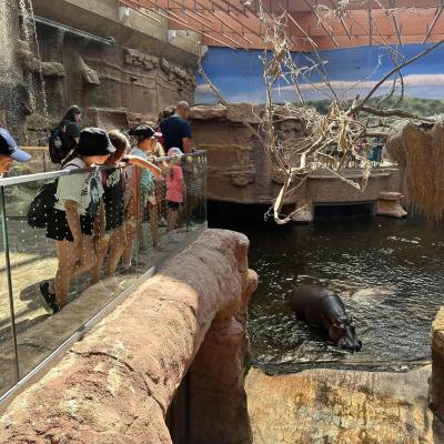  „W drogę czas…” - dzień drugi