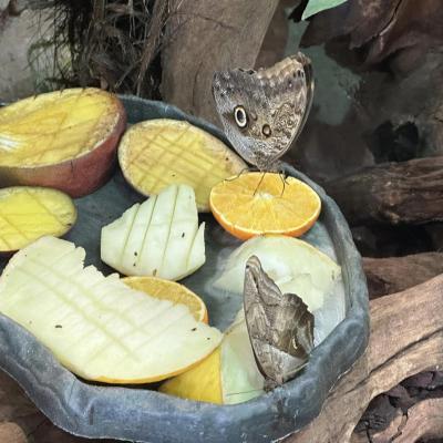  „W drogę czas…” - dzień drugi