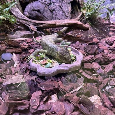  „W drogę czas…” - dzień drugi