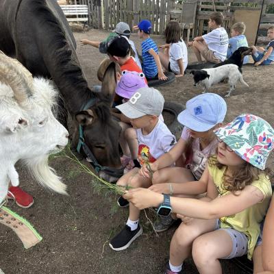 „W drogę czas…” - dzień piąty