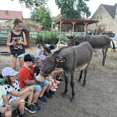 „W drogę czas…” - dzień piąty