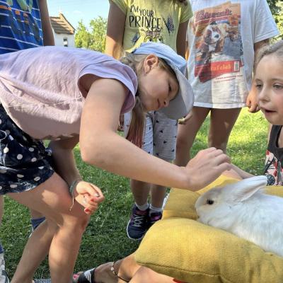 „W drogę czas…” - dzień piąty