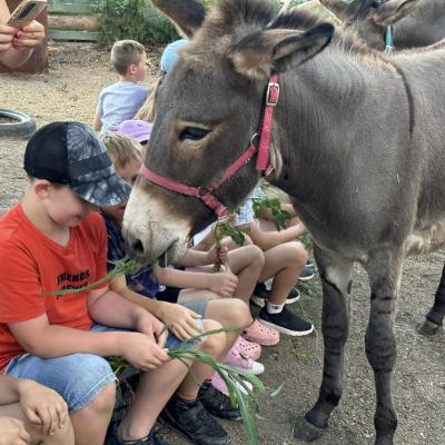 „W drogę czas…” - dzień piąty