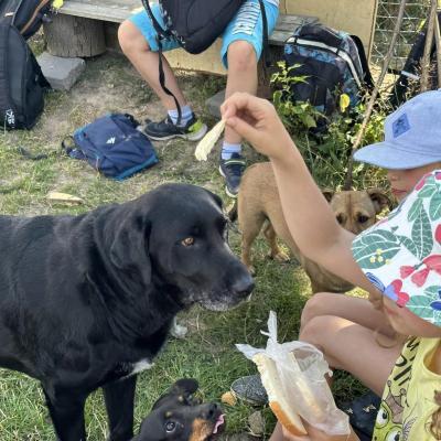 „W drogę czas…” - dzień piąty