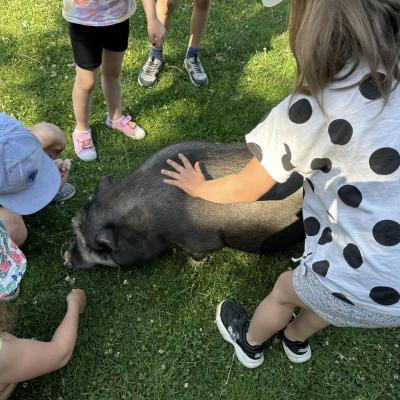 „W drogę czas…” - dzień piąty