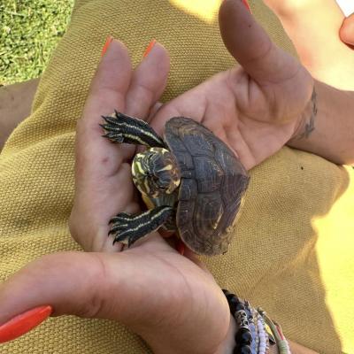 „W drogę czas…” - dzień piąty